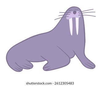 Vector isolated illustration of a walrus on a white background.