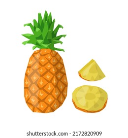 Vector isolated illustration with whole pineapple or ananas and slices. Concept of fruit, summer, vitamin. You can use in web design, postcard, banner, etc.