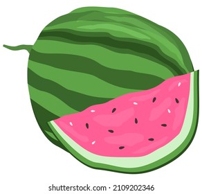 Vector isolated illustration of whole watermelon and a slice. Bright sweet plant with bones.