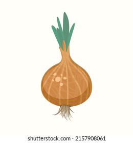 Ilustración vectorial aislada de cebolla amarilla con textura.