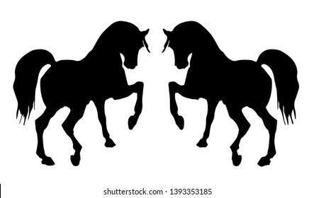 vector isolated image of black silhouettes of two horses beating hoof