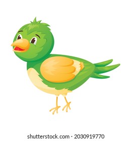 Vector isolated image of cartoon character green baby bird with bright plumage.