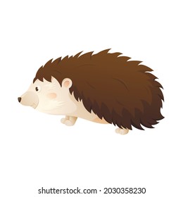 Vector isolated image of cute baby wood hedgehog in profile.