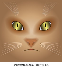 Vector isolated image of a cute cat's muzzle