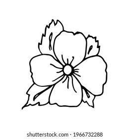 vector isolated image of flower on white background 