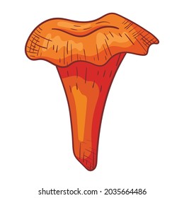 Vector isolated image of forest doodle chanterelle mushroom in line art style.