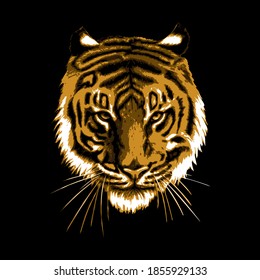 Vector isolated image of tiger head on black background.