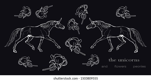 vector isolated image of unicorns on black background, peony flowers, contours