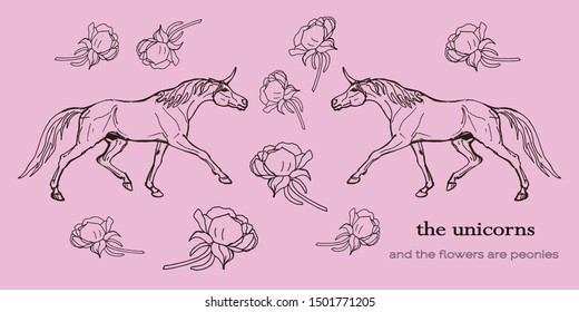 vector isolated images , drawings of unicorns,  transparent peony flowers on colored background