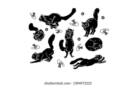 vector isolated images of playing and sleeping furry home black cats on white background 