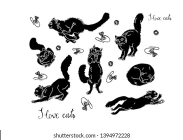 vector isolated images of playing and sleeping furry home black cats on white background and lettering
