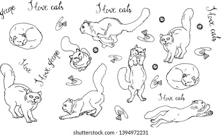 vector isolated images of playing and sleeping fluffy white domestic cats on white background and lettering