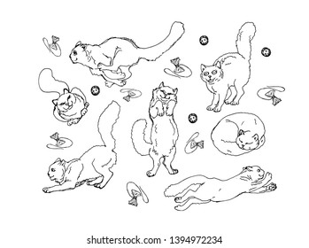 vector isolated images of playing and sleeping fluffy white domestic cats on white background 