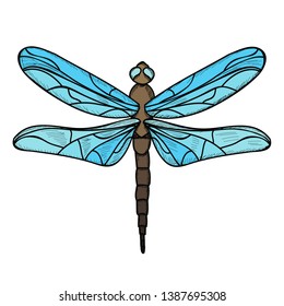 vector isolated insect dragonfly with lines