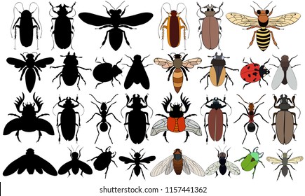 Beetle Isolated Realistic Set Icon Vector Stock Vector (Royalty Free ...