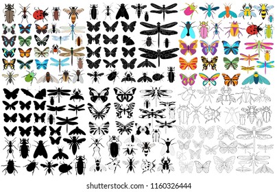 vector, isolated, insect, set, beetles, bee, ant, butterfly