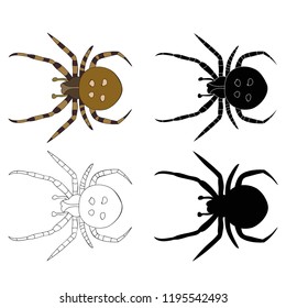 vector, isolated, insect spider silhouette