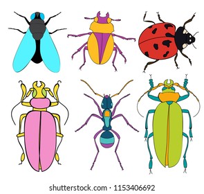 vector, isolated, insects set of characters