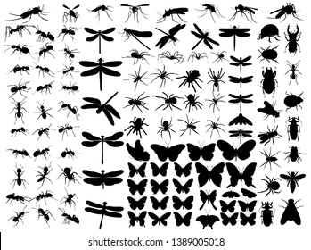 vector, isolated, insects silhouette, butterflies, dragonflies, beetles