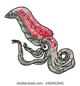 Vector isolated japanese seafood squid cartoon on white background. Illustration for food packaging, market label, underwater design