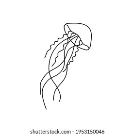 Vector isolated jellyfish medusa line drawing. Black line medusa graphic outline sketch.