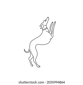 Vector isolated jumping hound greyhound dog contour line drawing. Black and white greyhound line hand drawn sketch
