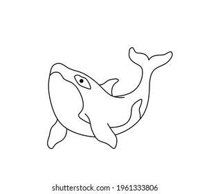 Vector isolated killer whale line drawing. Colorless contour killer whale outline sketch
