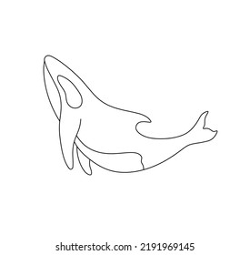 Vector isolated killer whale swimming up colorless black and white contour line easy drawing