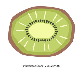 Vector isolated kiwi slice illustration 