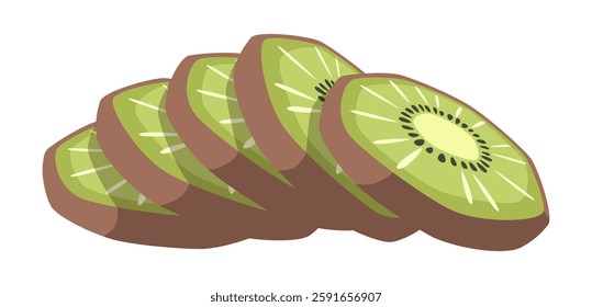 Vector isolated kiwi slices illustration