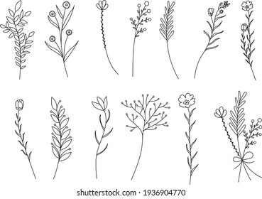 vector, isolated, leaves, grass, flowers, hand drawn set of plant