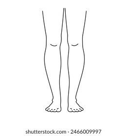 Vector isolated legs rear view colorless black and white contour line easy drawing