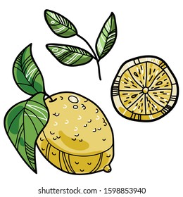 Vector isolated lemon set with a branch, a slice and some leaves