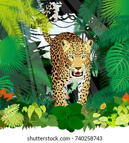 vector isolated leopard or jaguar in jungle rainforest