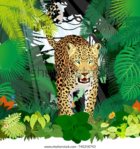 Vector Isolated Leopard Jaguar Jungle Rainforest Stock Vector (Royalty ...