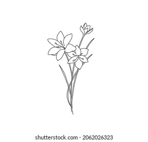 1,489 Line drawings of crocus Images, Stock Photos & Vectors | Shutterstock