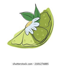Vector isolated lime wedge in doodle style. Colored flat illustration for your creativity.