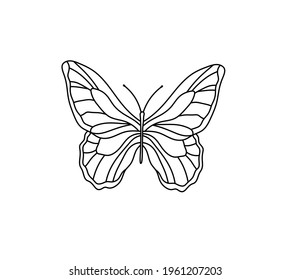 Vector isolated line butterfly drawing. Colorless contour graphic butterfly silhouette. 