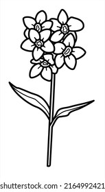 Vector isolated line primrose flower forget- me- nots. Spring, summer, flowers theme.