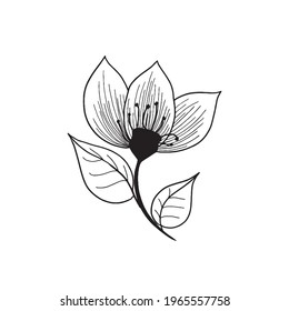 Vector isolated lined flower silhouette logo in white background. Hand drawn stylized flower icon.