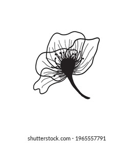 Vector isolated lined flower silhouette logo in white background. Hand drawn stylized flower icon.