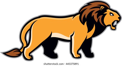 Vector isolated Lion 