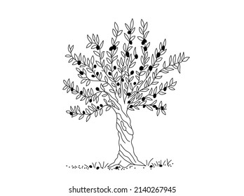 Vector isolated lush olive tree with mature black olives colorless black and white contour line drawing