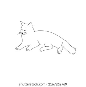 Vector isolated lying fluffy cat colorless black and white contour line drawing