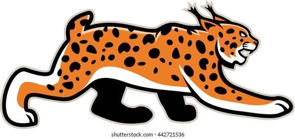 vector isolated lynx Wildcat mascot illustration