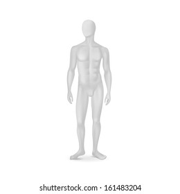 Vector Isolated Male Mannequin