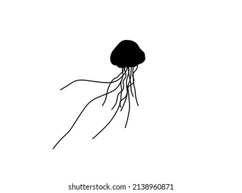 Vector isolated medusa dome with long tentacles outline black colored silhouette shadow