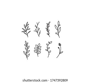 Vector isolated minimal flower elements set. Black line contour outline sketch hand drawn branch, flower stalk. Doodle cute tiny botanical drawing. 