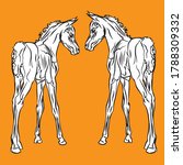 vector isolated monochrome drawn image of two white foals of the Arabian horse breed on a orange background.