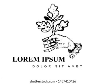 Vector isolated monochrome logo illustration of a hand holding oak branch in antique vintage style